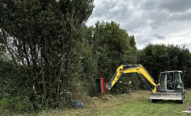 Débroussaillage, Meschers-sur-Gironde, ROBERT TRAVAUX PUBLICS